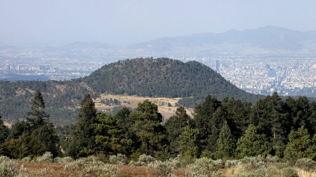 YoAmoaLaCiencia's tweet image. ¿Qué significa que México tenga 25 de los 28 grupos de suelo del mundo?

A nivel internacional, los suelos se clasifican en grandes grupos que reflejan los principales procesos de formación del suelo en el planeta.

Uno de los sistemas más utilizados para estas comparaciones es…