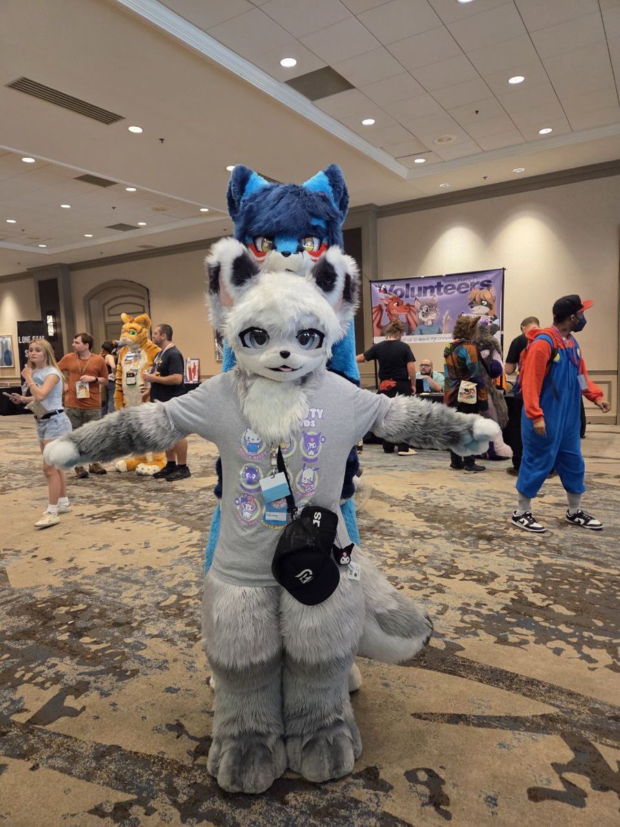 superkoomer's tweet photo. ngl being a short fursuiter is also a curse bc i become harder to notice lol

tho when i do get noticed 😳 https://t.co/6Homo5Vc5r
