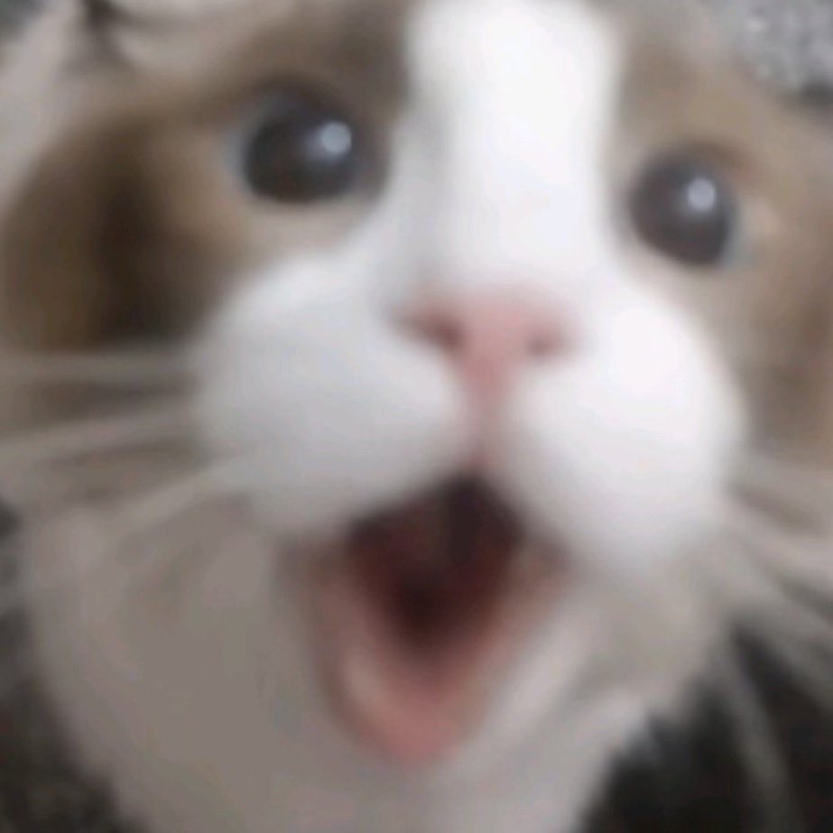 Smudge_Art tweet media