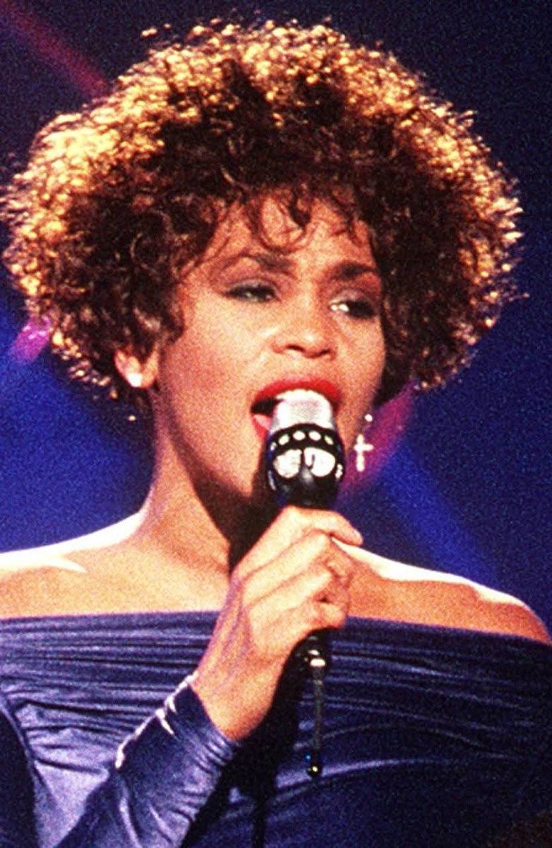 StainlesSteel⛓️ tweet media