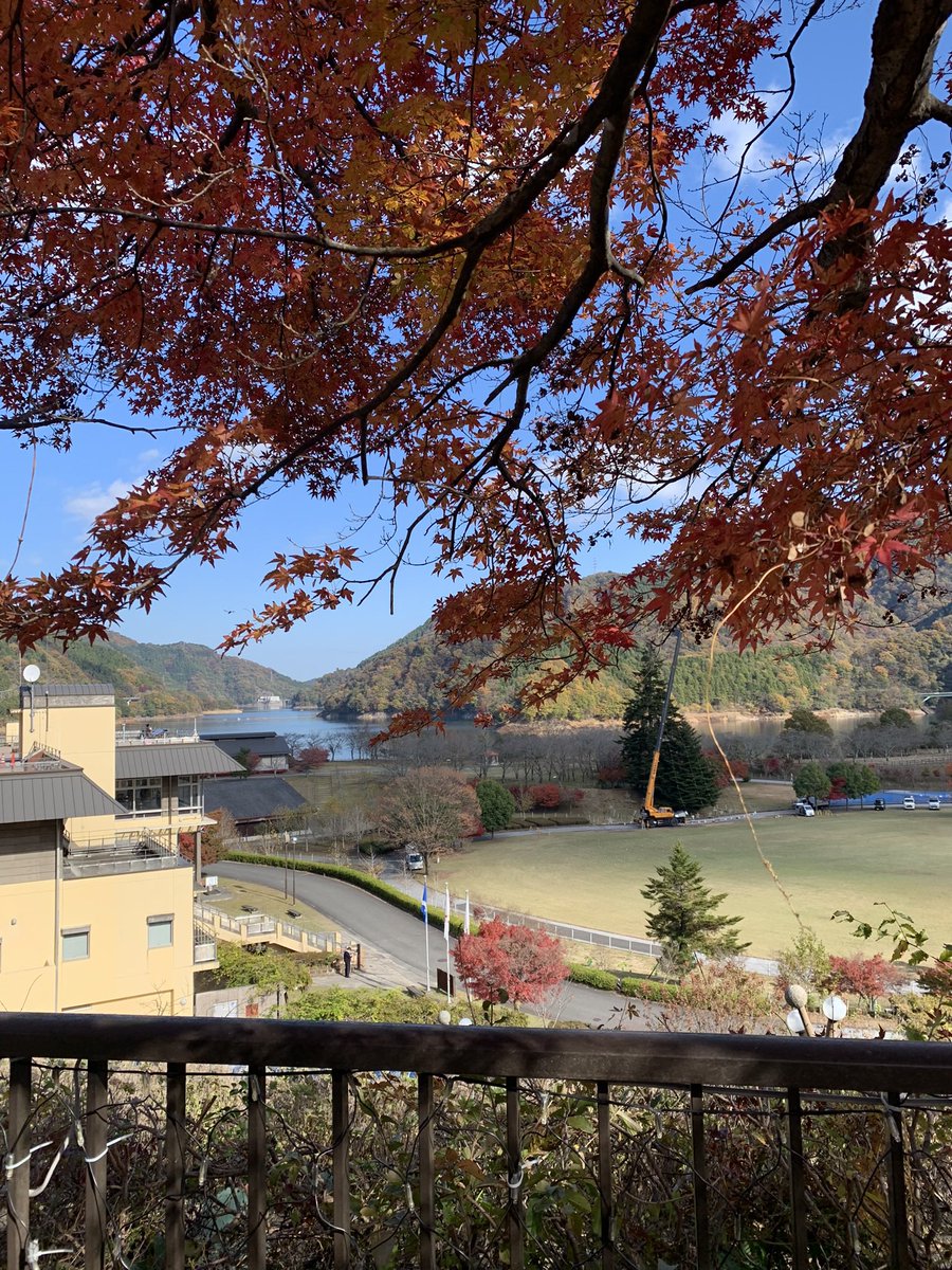 花梨24 tweet media