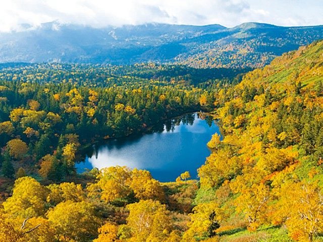 miyaharu (@foryksy) on Twitter photo 