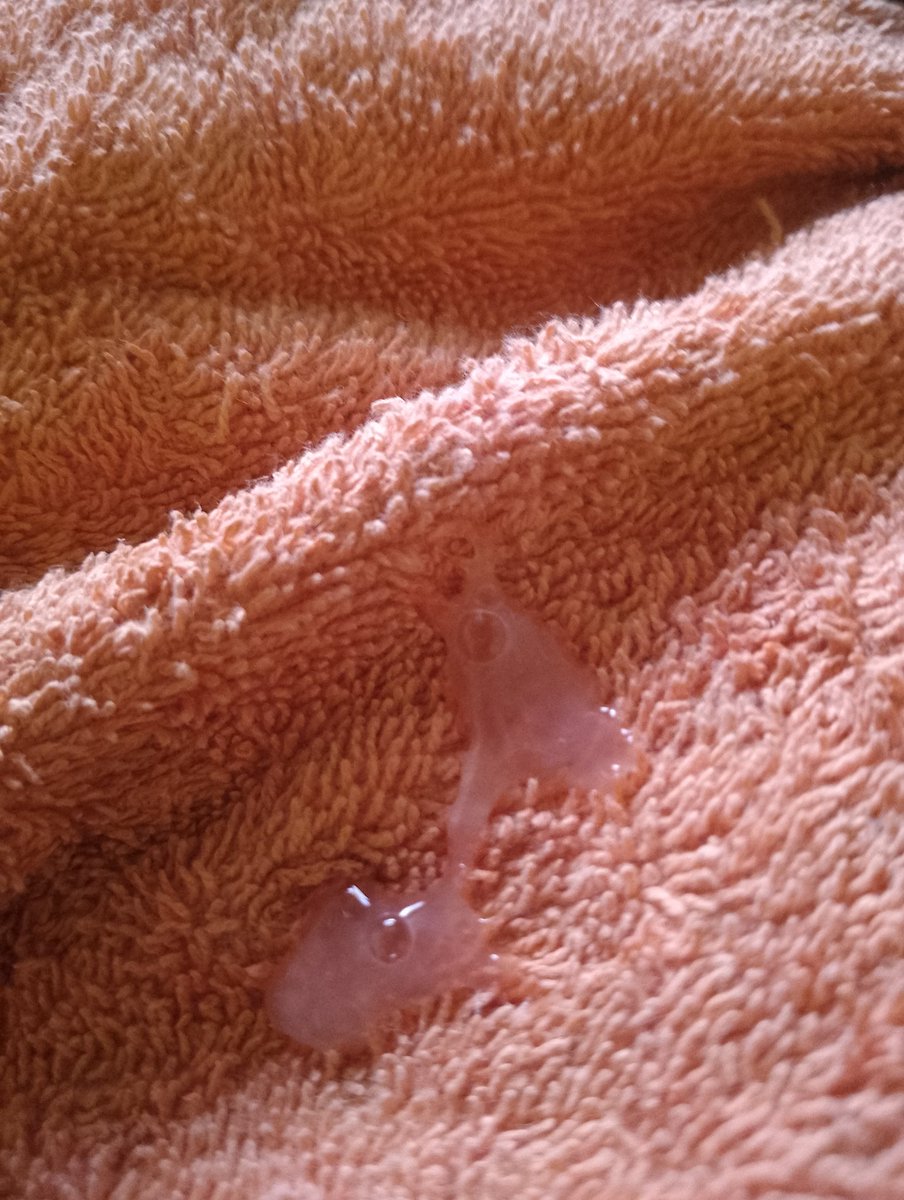 Vers Guy tweet media