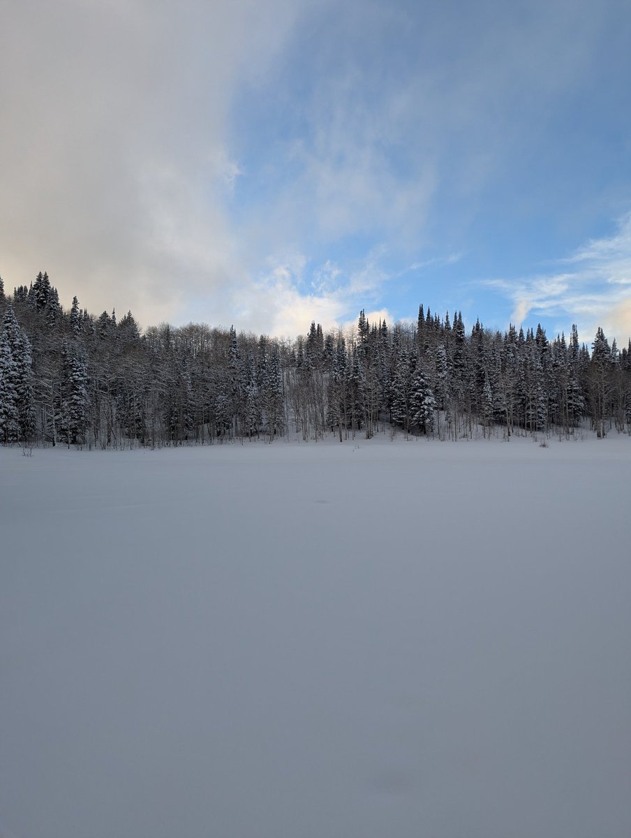 taylordsparks's tweet image. Post work tour to see the new powder #wasatch