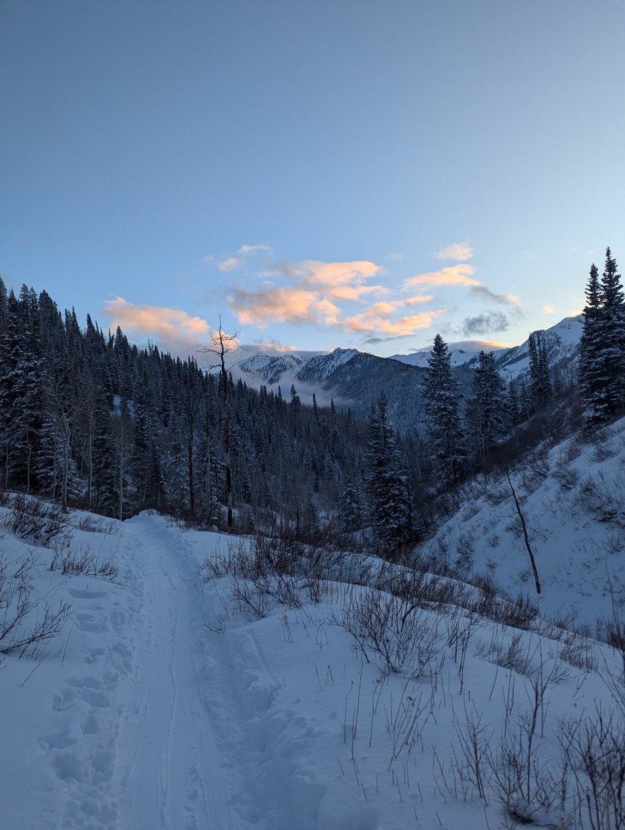 taylordsparks's tweet image. Post work tour to see the new powder #wasatch