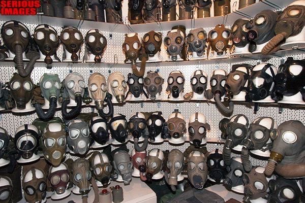 DigitalD1sgust's tweet image. 