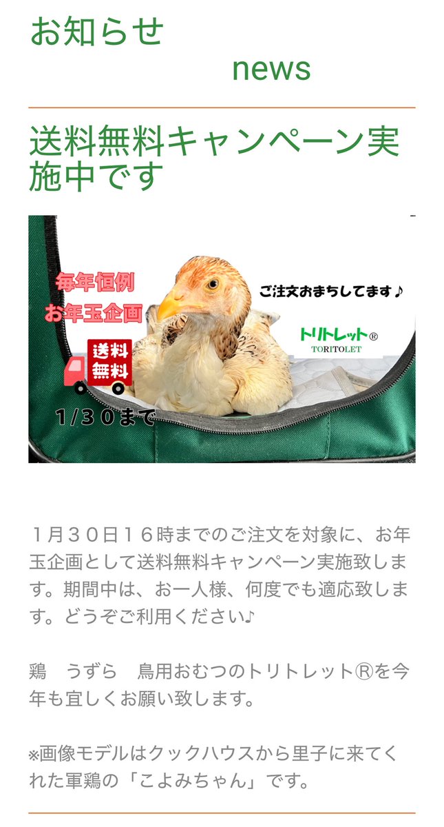 明けましておめでとうございます🐓
幸多き一年になりますように🐎

diaper4petchickens.jimdoweb.com