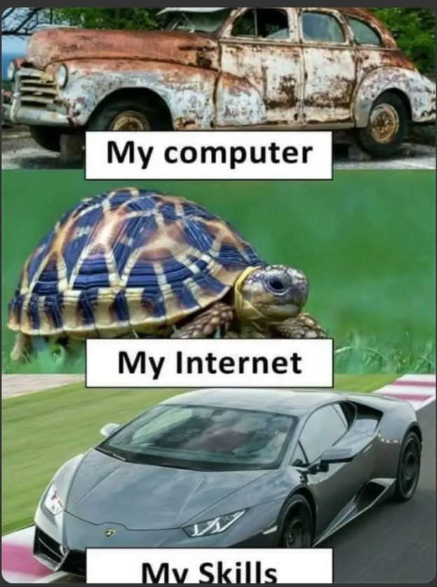 GM everyone 

Please GM back 🙏