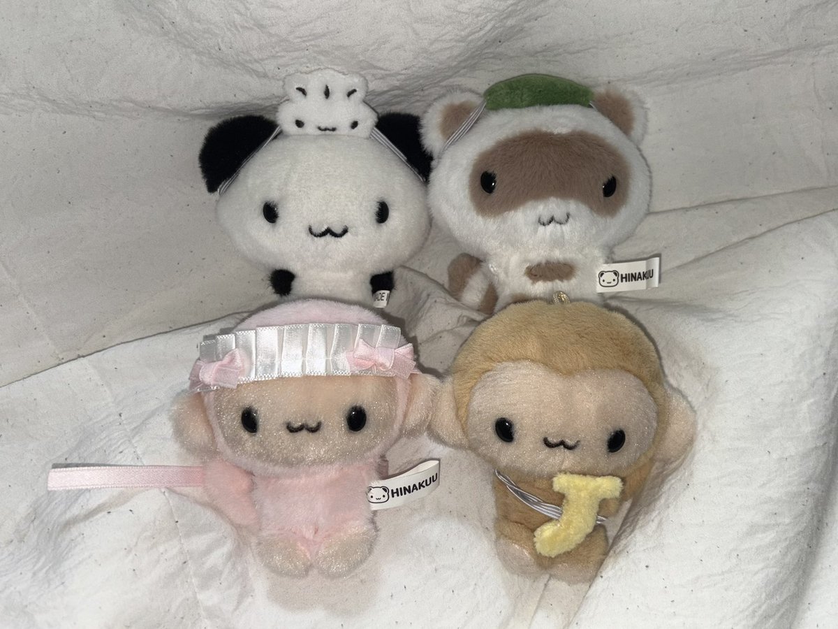 너쿠리가 우리집을 잘 찾아와줫어 ……🦝