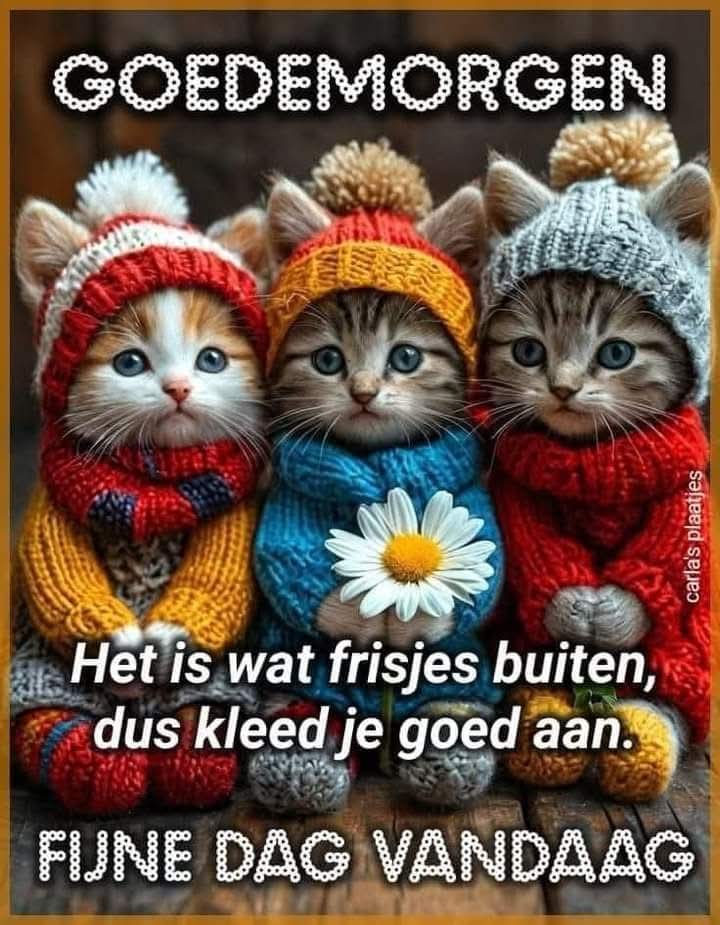Goedemorgen allemaal, pas op als je de weg op moet ❄️☃️🙋🏽‍♀️😘☕️🍀🌸