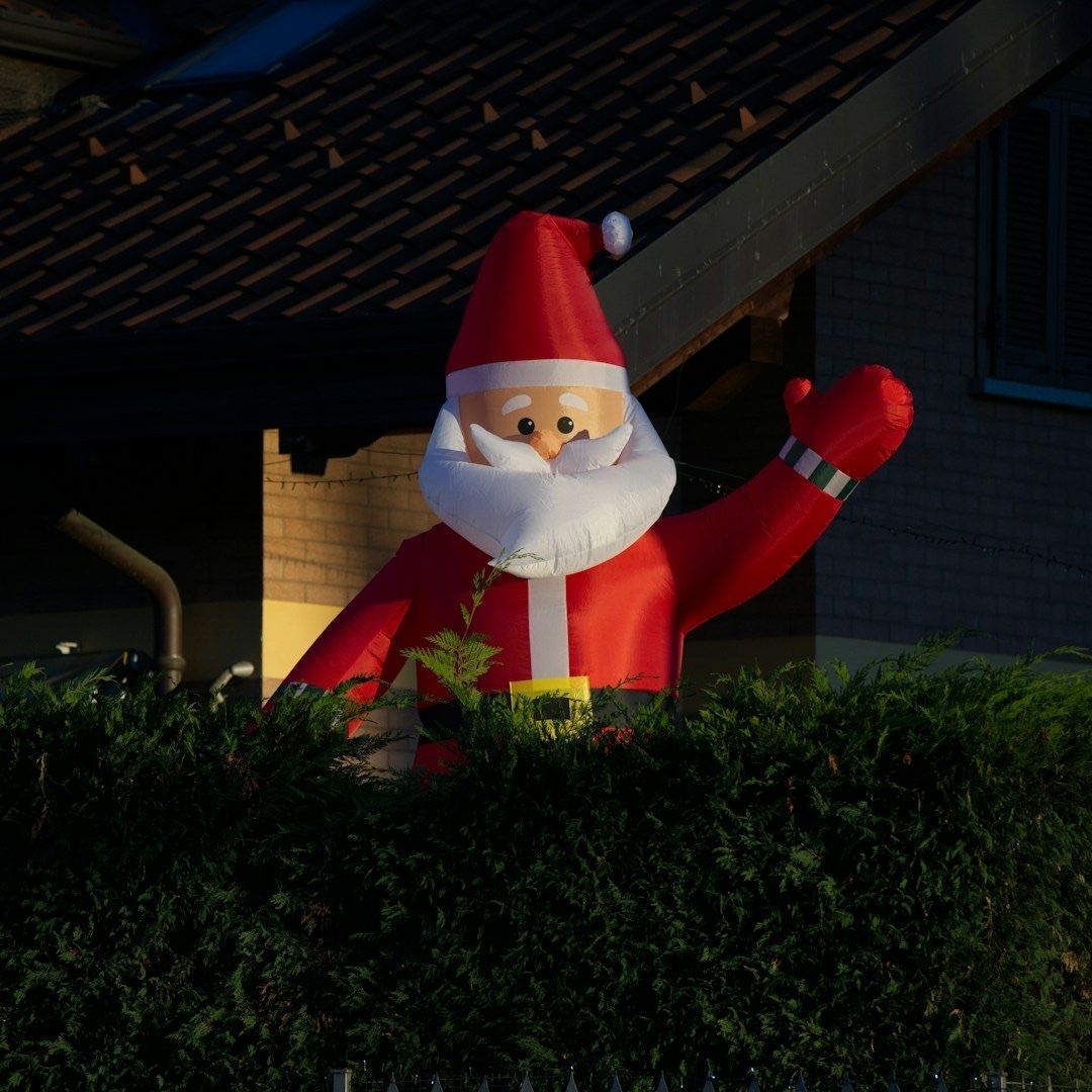 Good Morning Lovelies 🌟

Have you taken your Christmas decorations down now?