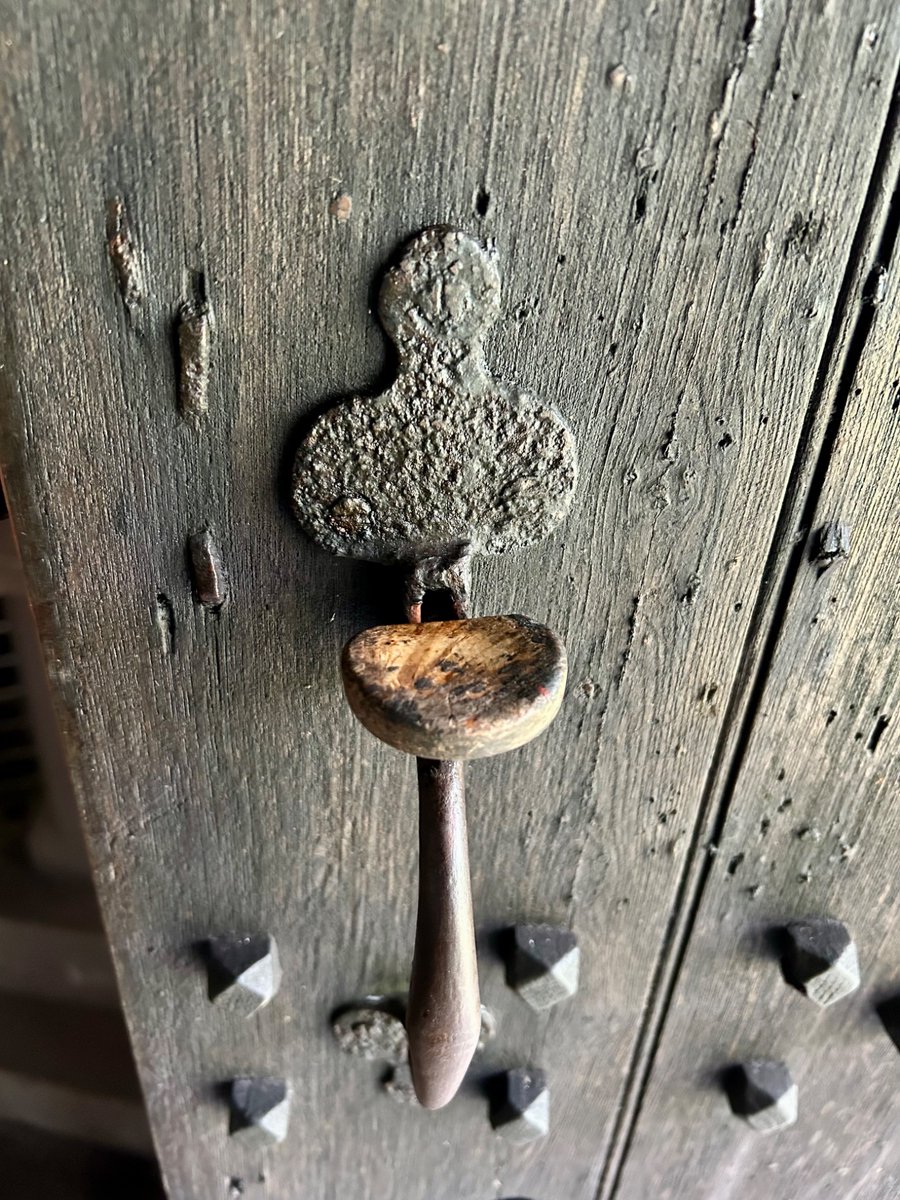 elizabeth tutty tweet media