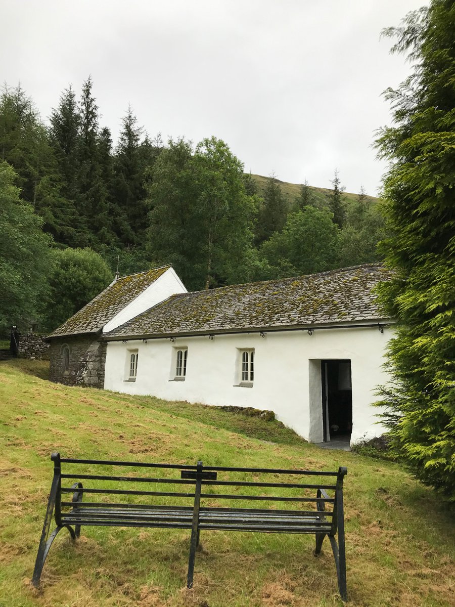 elizabeth tutty tweet media