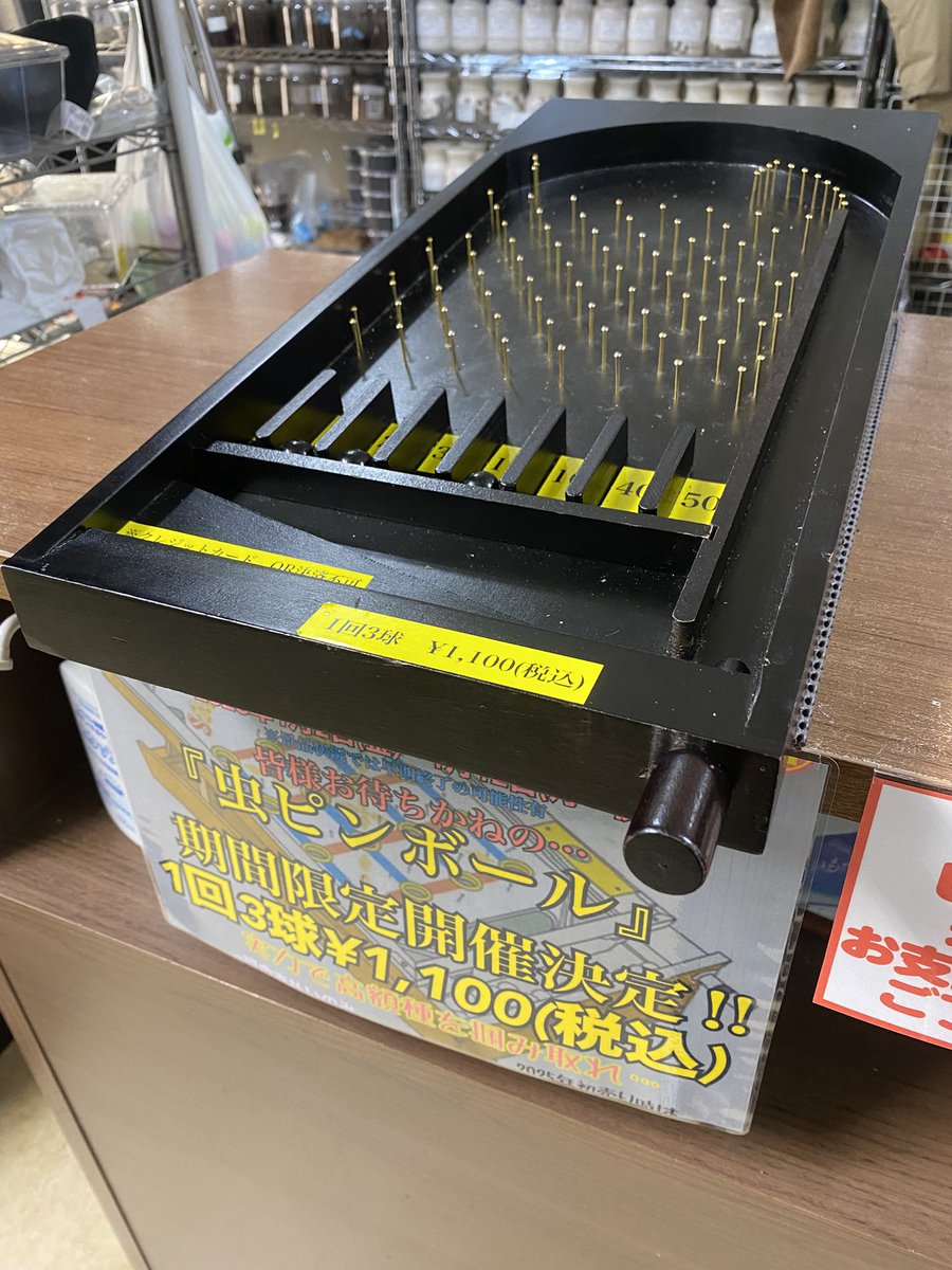 がっつり寝坊して10分遅れました💦お待たせしてしまったお客さま申し訳なかったです😭
インセクトジョーカー
本日14時10分〜21時まで営業
※明日から3日間（1/7〜1/9）は休業ですのでご来店予定の方は本日中にお越しください！
初売りは12日まで！
　
福袋在庫状況
おみくじ袋→◯
年賀袋
¥5,500→×