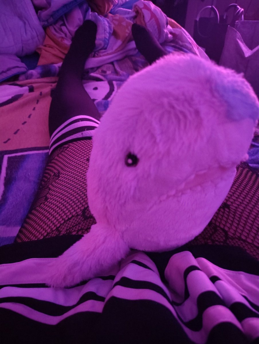 solarscenez's tweet photo. Sharkie time! :3

#thighs #femboy #trans #t4t #puppyboy #blahaj #thighhighs https://t.co/BUsFcxLjDl