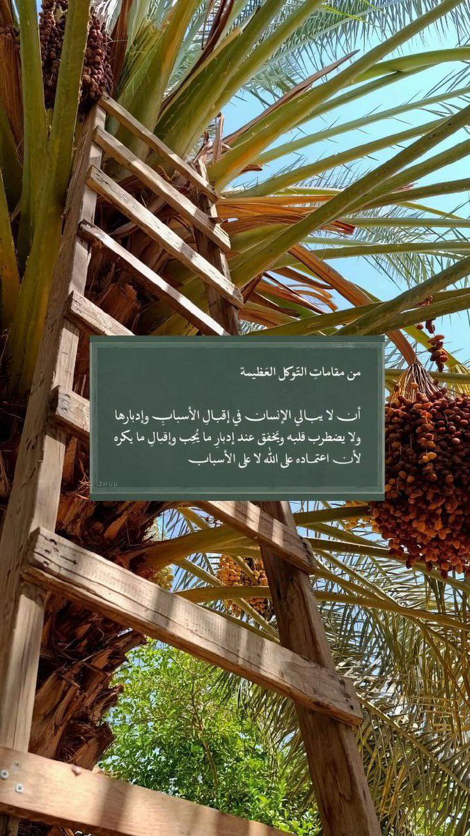 رسالة لك: 

قد تدعو الله في همٍّ أقلقك، أو كرْبٍ أتعبك؛ فما تزداد مع الأيام إلاّ شدّةً عليك، فتشعُر بحُزنٍ يكاد ينفطِرُ منه قلبك؛ هنا جاهد نفسك أن لا يغلِبك القنوط، وظُنّ بالكريم خيراً؛ واعلم أنّ مُجاهدتك لنفسك رغم ألمك ودموعك التي تُغالبُ بها همّك قد تكون أسرع في إجابة دُعائك…