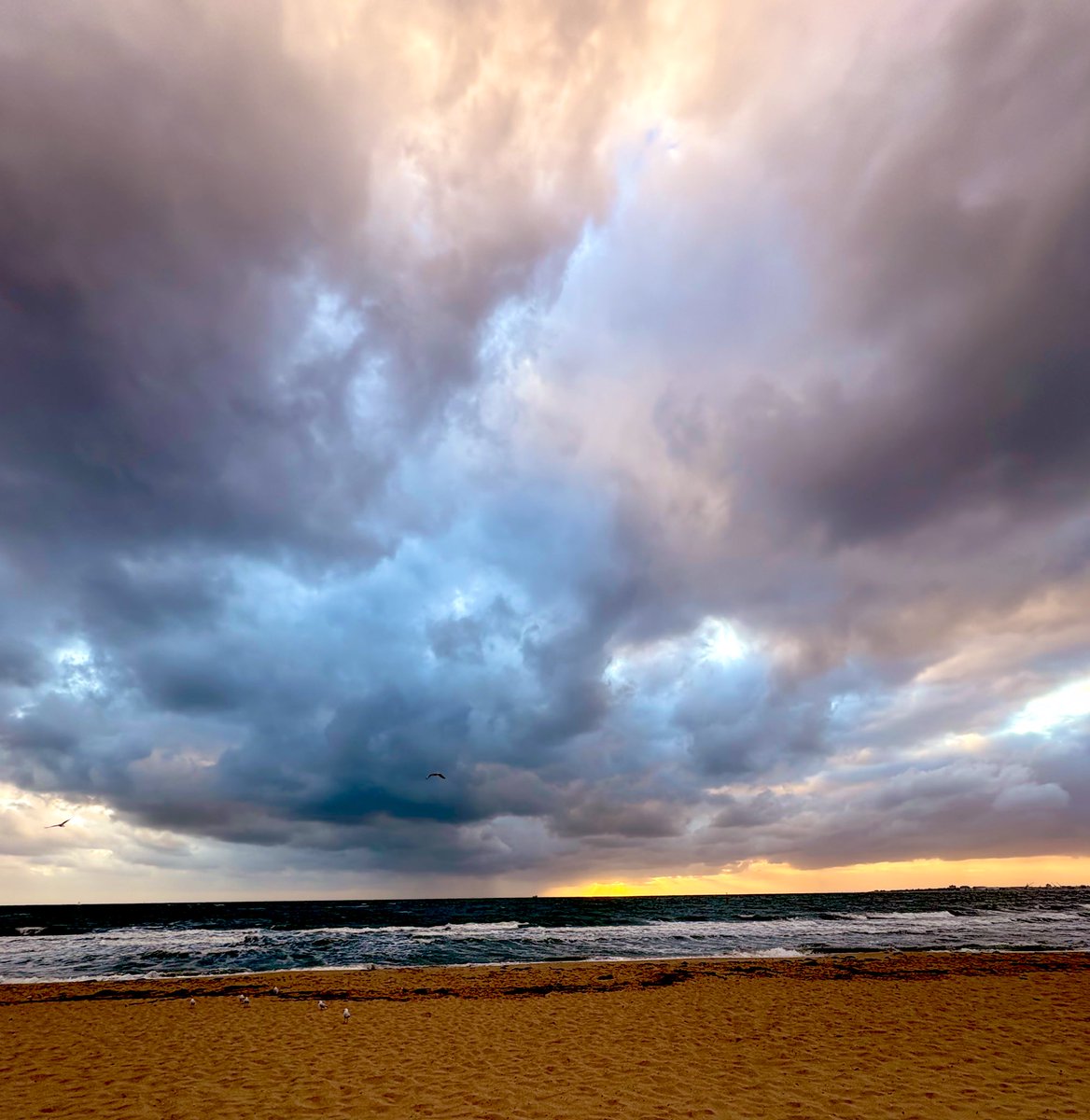 rb6yv6's tweet photo. New life begins in my 30s. Over these three decades, I've realized I must enjoy every moment and not hurt myself by doing things others like or think I should achieve. Life is about enjoying the journey, not the destination.

Photo location: St Kilda Beach https://t.co/1fPhGMRQDS
