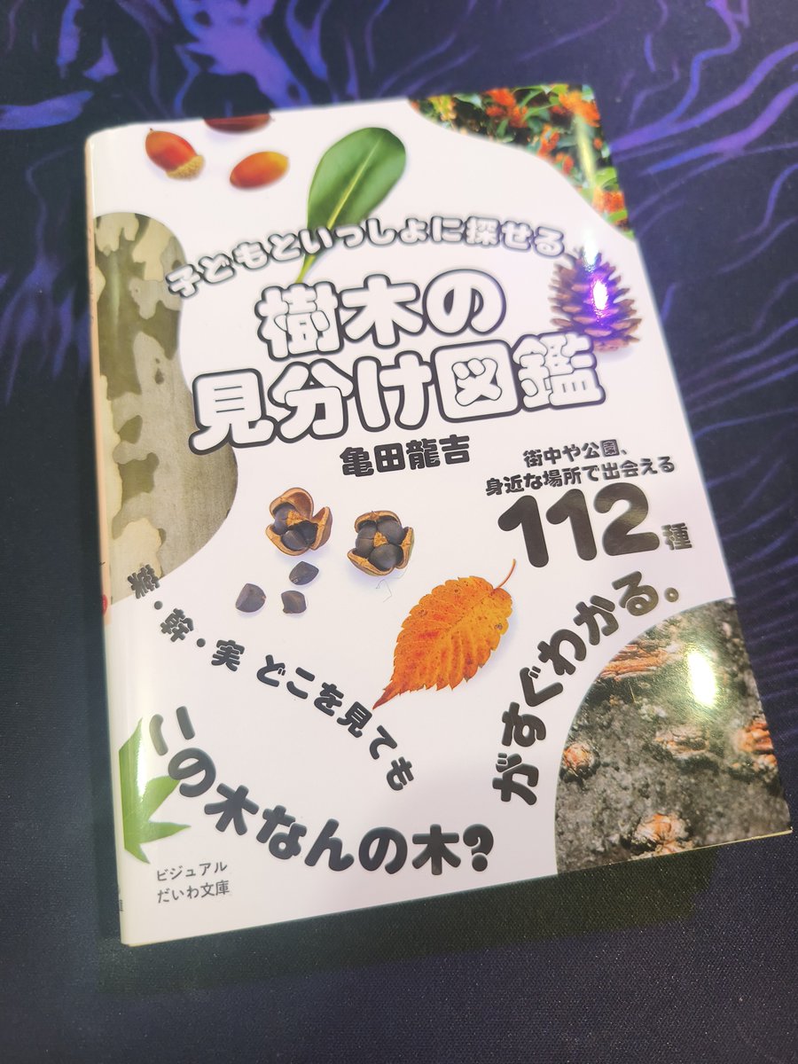 ぶらっと散歩がてら行ける範囲で唯一の、最後の、隣の駅前の小さい本屋さんが去年の12月27日をもって閉店していたのをさっきシャッターの張り紙で知りショック。すいませんもっと行けばよかったです。今までありがとうございました。これが最後に買った本になってしまった＞daiwashobo.co.jp/book/b10135422…