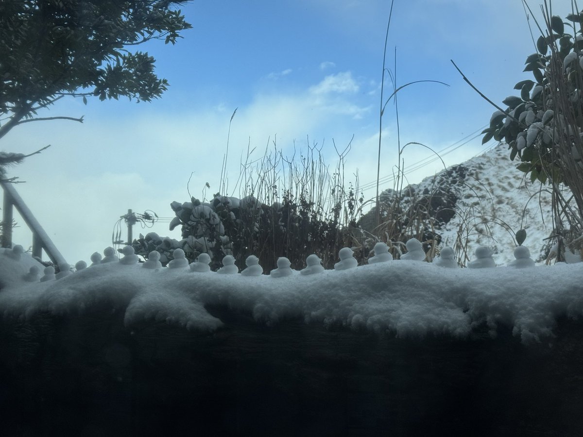 男鹿に雪が積もると… GAO雪アヒル隊がやってくることがあります
