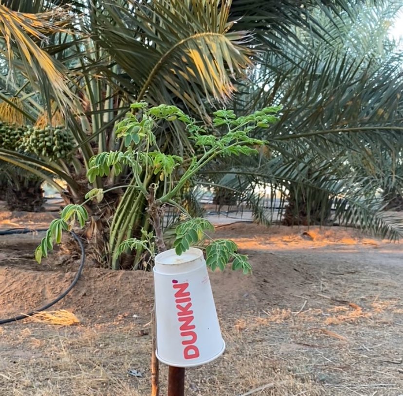 noodi (@i993n) on Twitter photo 