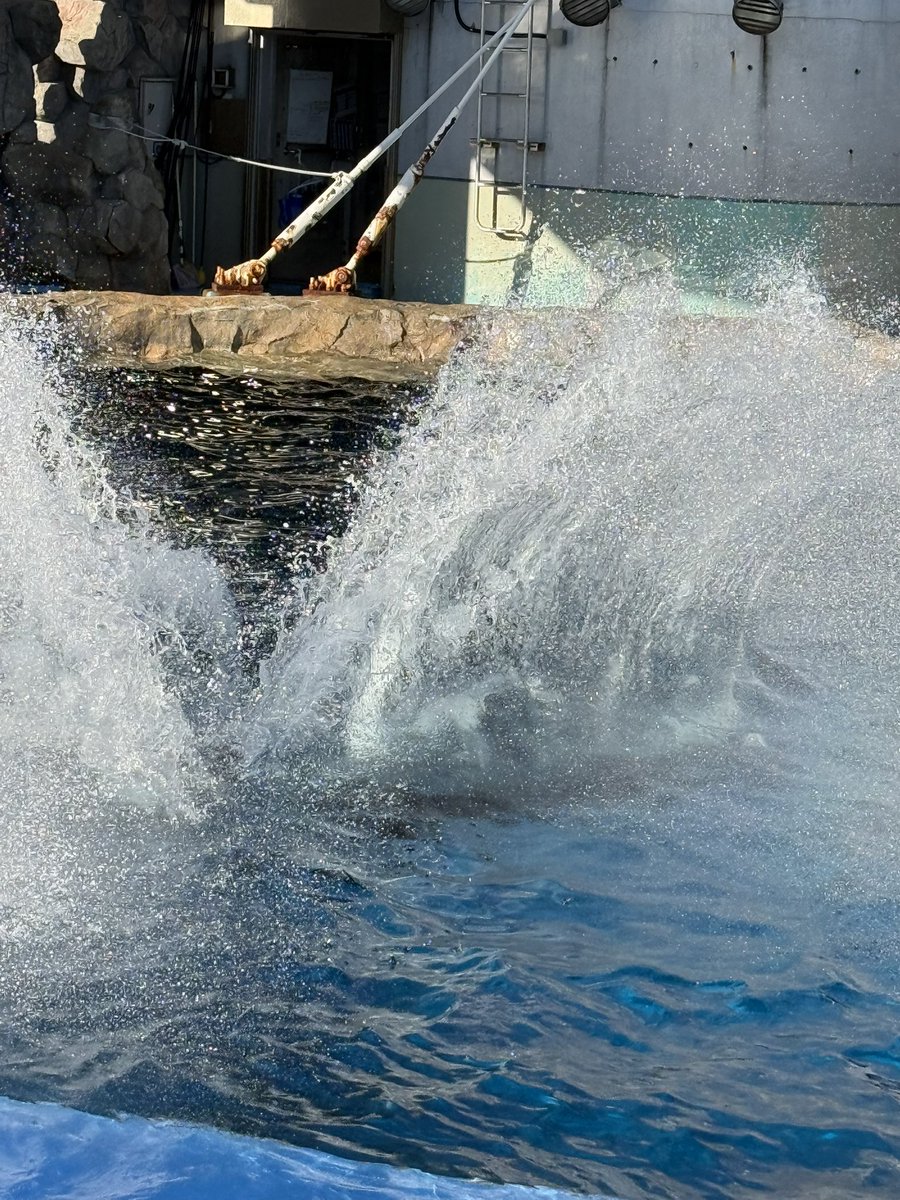 トモQoo@🌗 tweet media