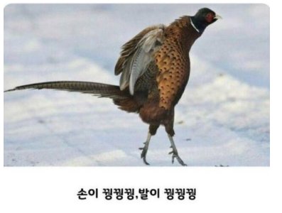 뭔가 심심한데
추운 날이라
일하기 귀찮은 날이군요ㅋㅋㅋ