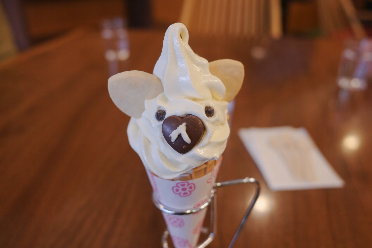 アルパカの形をしたソフトクリームはとても可愛いですね。