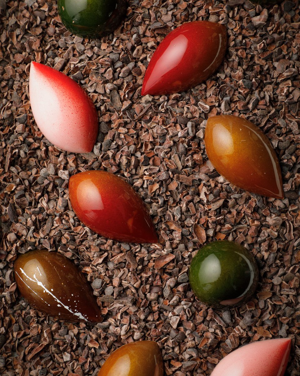 FSKyoto's tweet image. Celebrate love with Valentine’s chocolates inspired by Japan’s seasons—each piece capturing nature’s fleeting beauty. 今年のバレンタインチョコレートボックスには、日本の四季の移ろいと京都の趣深い情景を映した5つのフレーバーをご用意。ご自身へのご褒美にも、大切な方への贈り物にも。