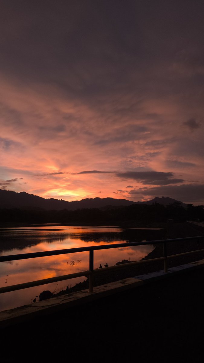 Liandiii tweet media