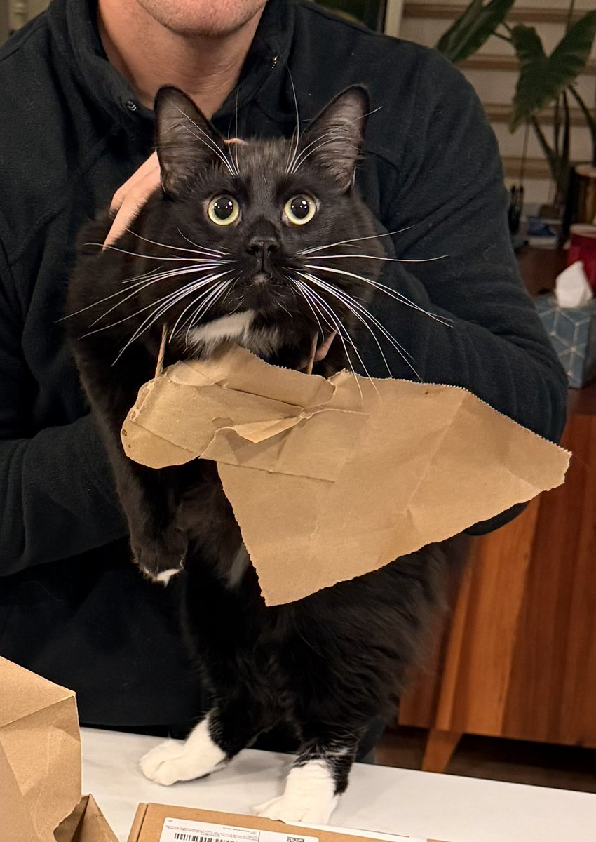 Davey Nabes tweet media