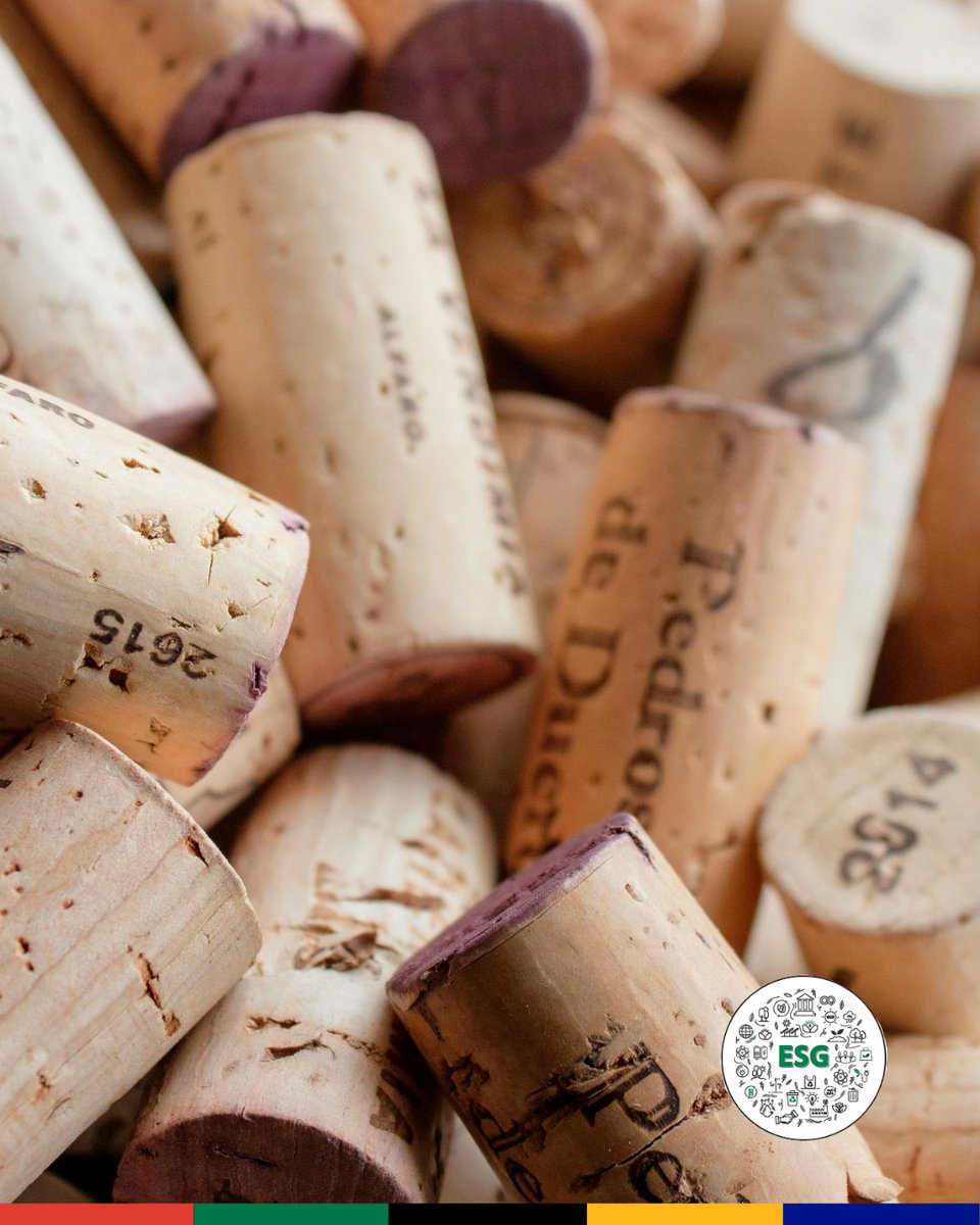 South Africa Wine tweet media