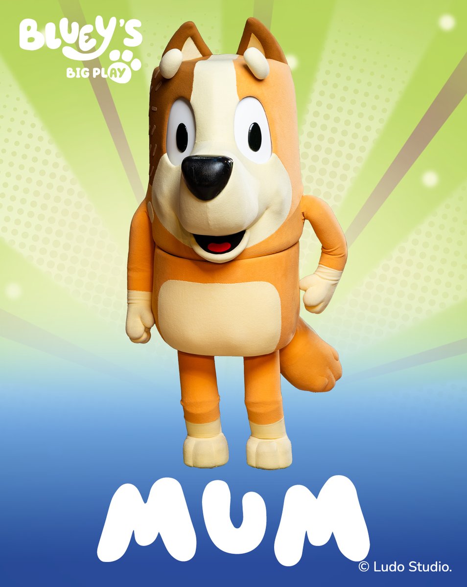 Insignia Presents tweet media