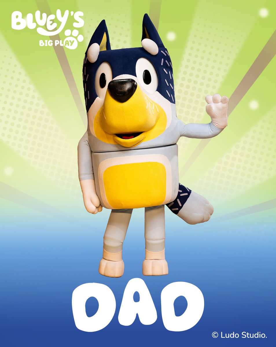 Insignia Presents tweet media