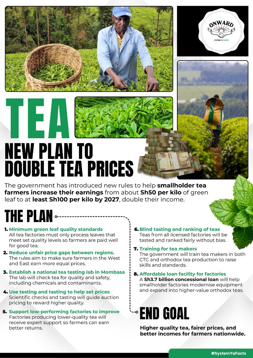 KwetuPR's tweet photo. Quality is key. New rules require tea factories to process only green leaf that meets minimum standards, ensuring farmers are fairly paid for better-quality produce.
#TeaReforms 
Double Price
Pesa Mfukoni https://t.co/cMSOALVwW5
