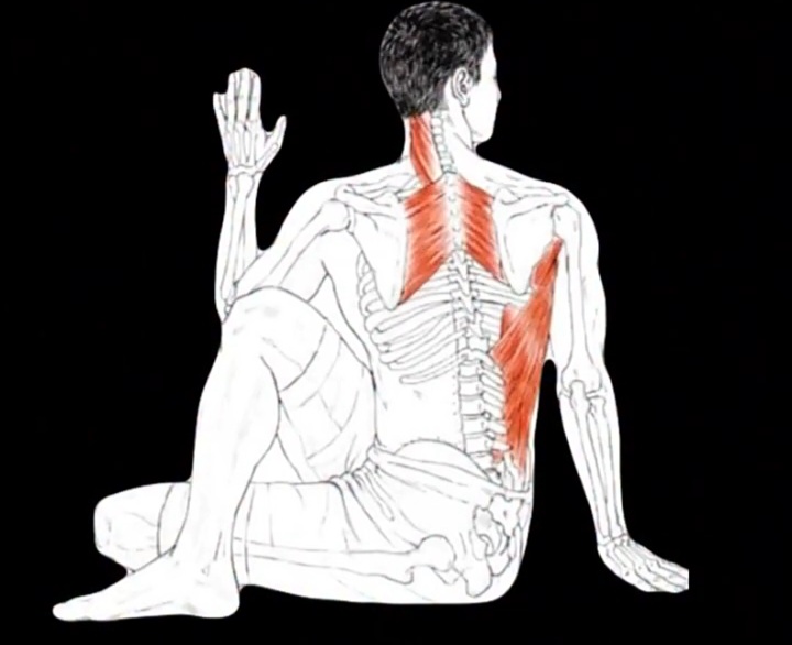 رياضة منزلية tweet media
