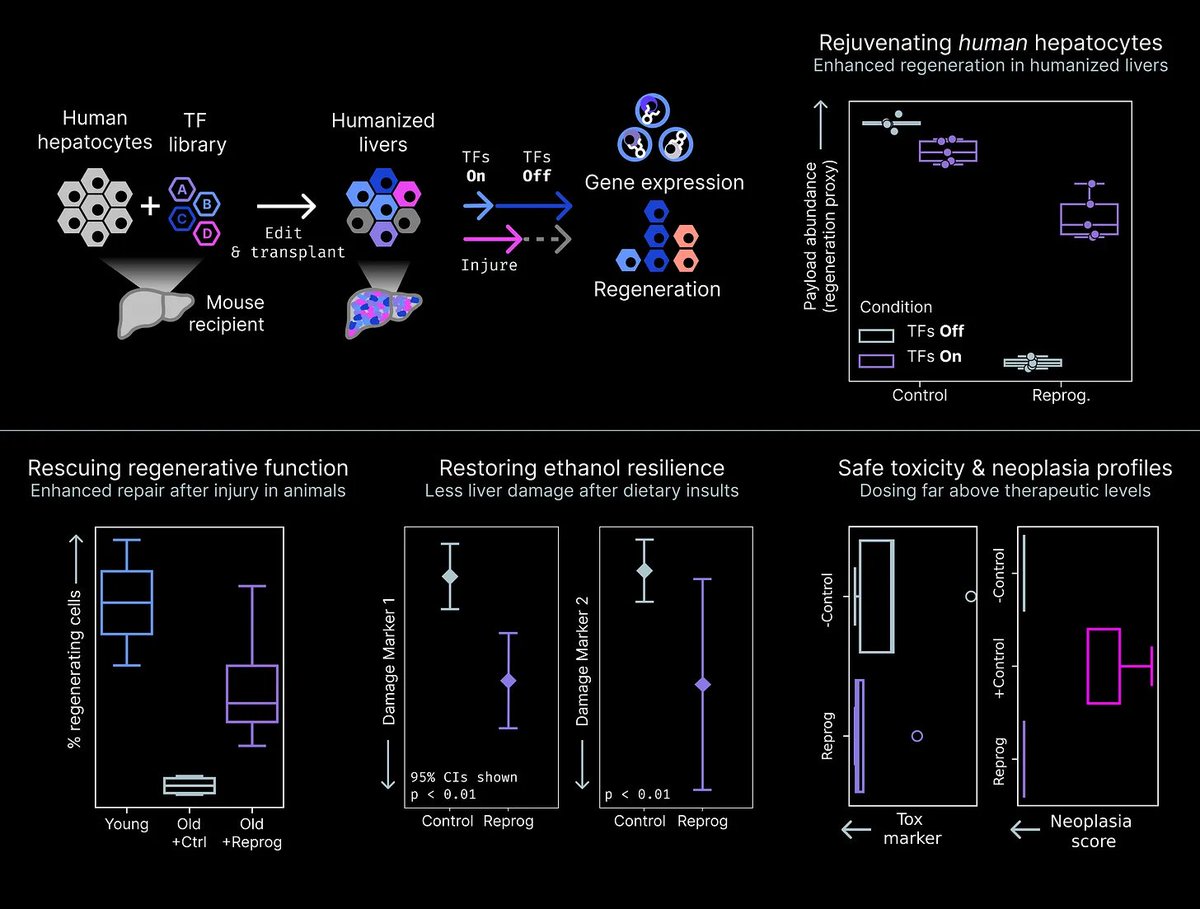 Jacob Kimmel tweet media