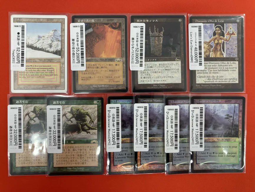 全知 コンフェッティfoil 英語版 MTG 全知 英語版 コンフェッティfoil