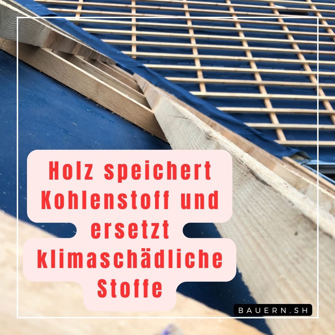 Bauern.SH tweet media