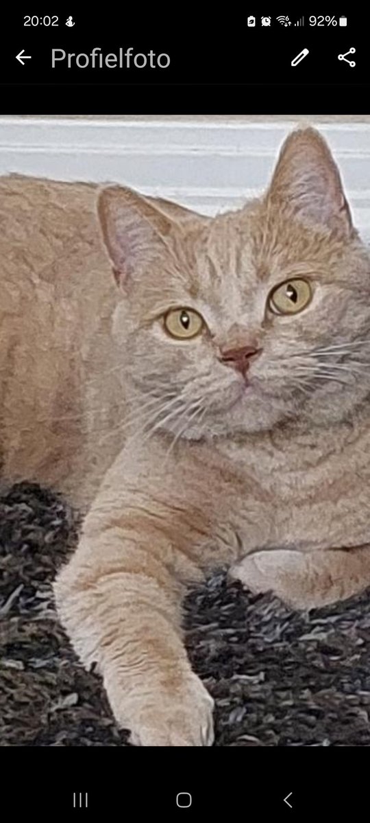 KoeleMaria's tweet image. Mis je 06-01-2025 ♥️♥️