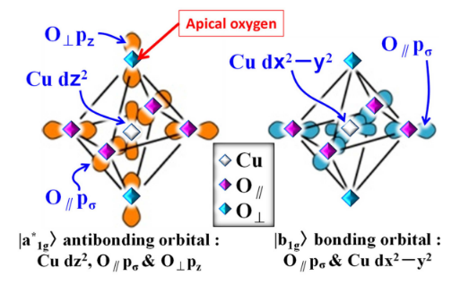 Condensed Matter MDPI tweet media