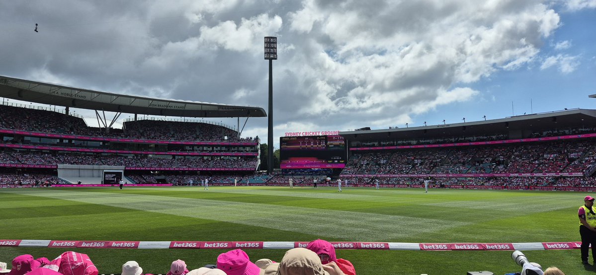 awedgewood's tweet image. Day 3 and we're in the sun. Hoping for some quick wickets