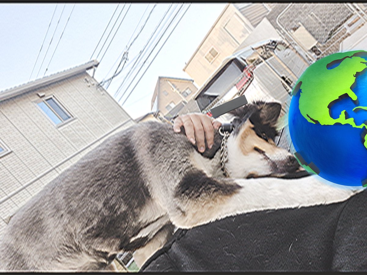 バイ菌🤘😈【卍老】 tweet media