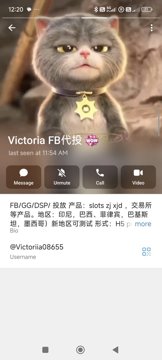 holdingallcoin's tweet photo. 飞机诈骗，复制群组，ID一毛一样，断子绝孙狗骗子 https://t.co/ulFaxItyoc