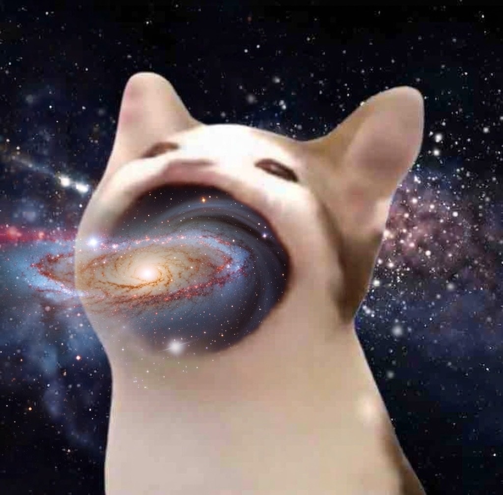 $POPCAT tweet media