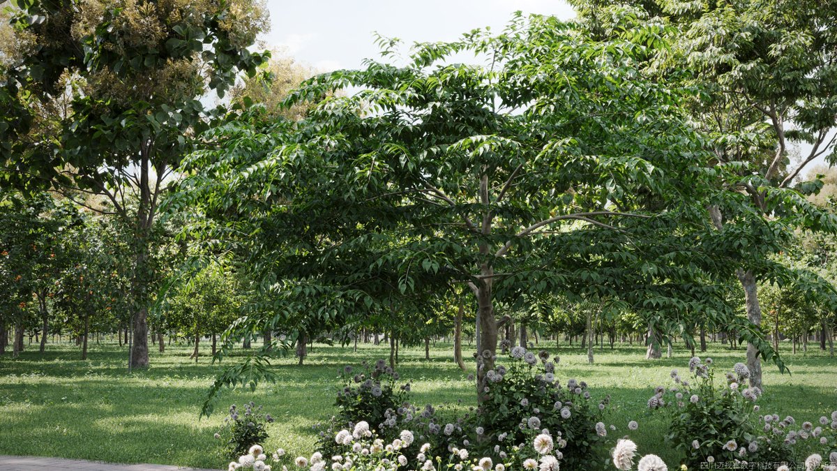 Maxtree tweet media