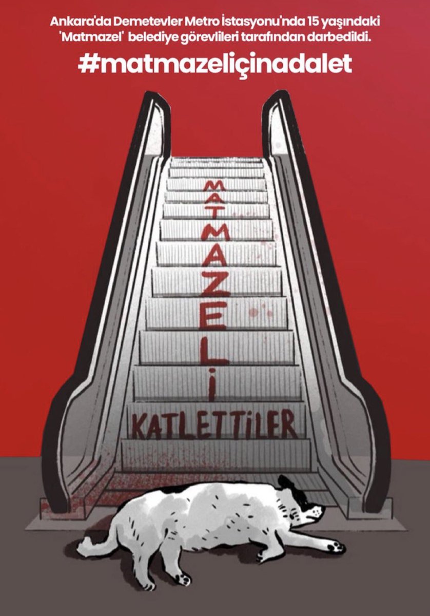 Şu masum cana yaşattıklarınızı yaşamadan can vermeyin!!  #MatmazelİçinAdalet