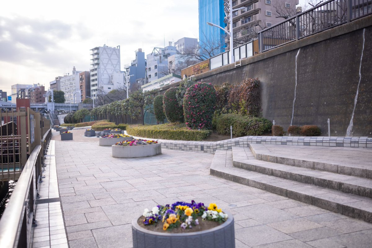 🌙✨ 速報｜浅草カミイチ Vol.7 ✨📸

カミイチが良いところはそのままに、より良いイベントになって帰ってきます！
昼の浅草と夜の浅草、ふたつの表情が見れる。
撮影派は映えて大満足、観光・街歩きと交流派もたのしくて大満足。

🏮 浅草カミイチ Vol.7
Powered by COSSAN
〜 NEW Challenge 〜

📅