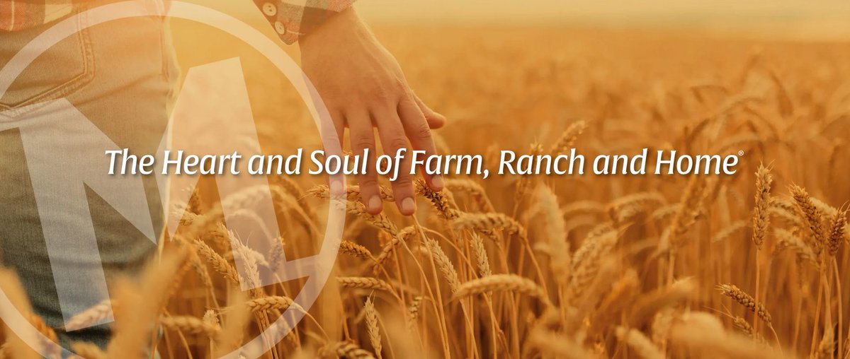 NanoOilRecovery's tweet photo. $EZES today announced a new partnership with
 
Mid-States Distributing Company, Inc. (“Mid-States”) The leading Farm, Ranch and Home Retail Cooperative

https://t.co/89FSXKNwPK https://t.co/5UdbzK0j6j