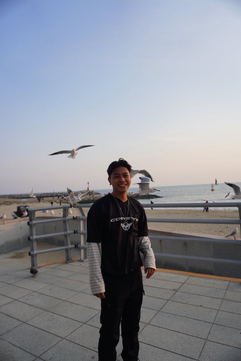 pravcharles's tweet photo. those birds were out for blood https://t.co/7QxjwrDit4