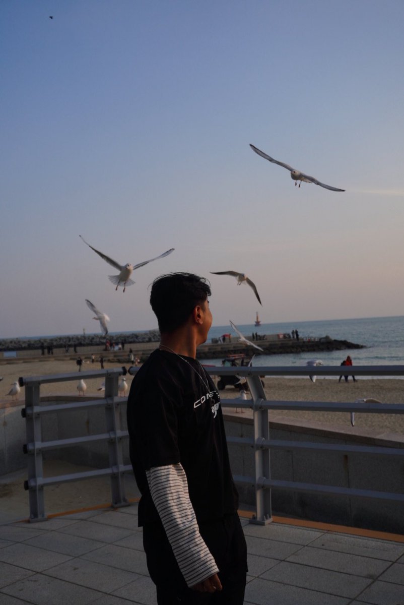 pravcharles's tweet photo. those birds were out for blood https://t.co/7QxjwrDit4